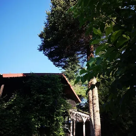 Σπίτι διακοπών W Lesie Nad Jeziorem Dywity