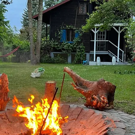 W Lesie Nad Jeziorem