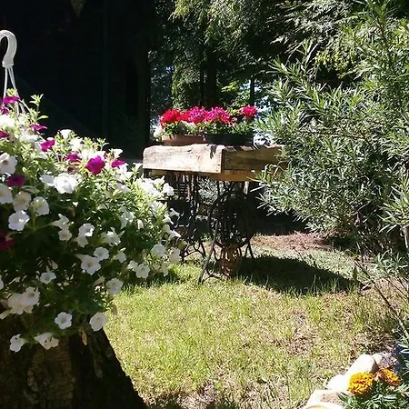 Σπίτι διακοπών W Lesie Nad Jeziorem